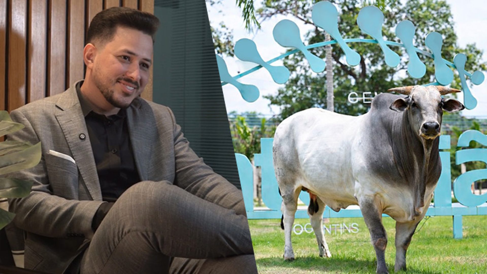 grupomontesiao-tourosiao01-13abr26_namidia